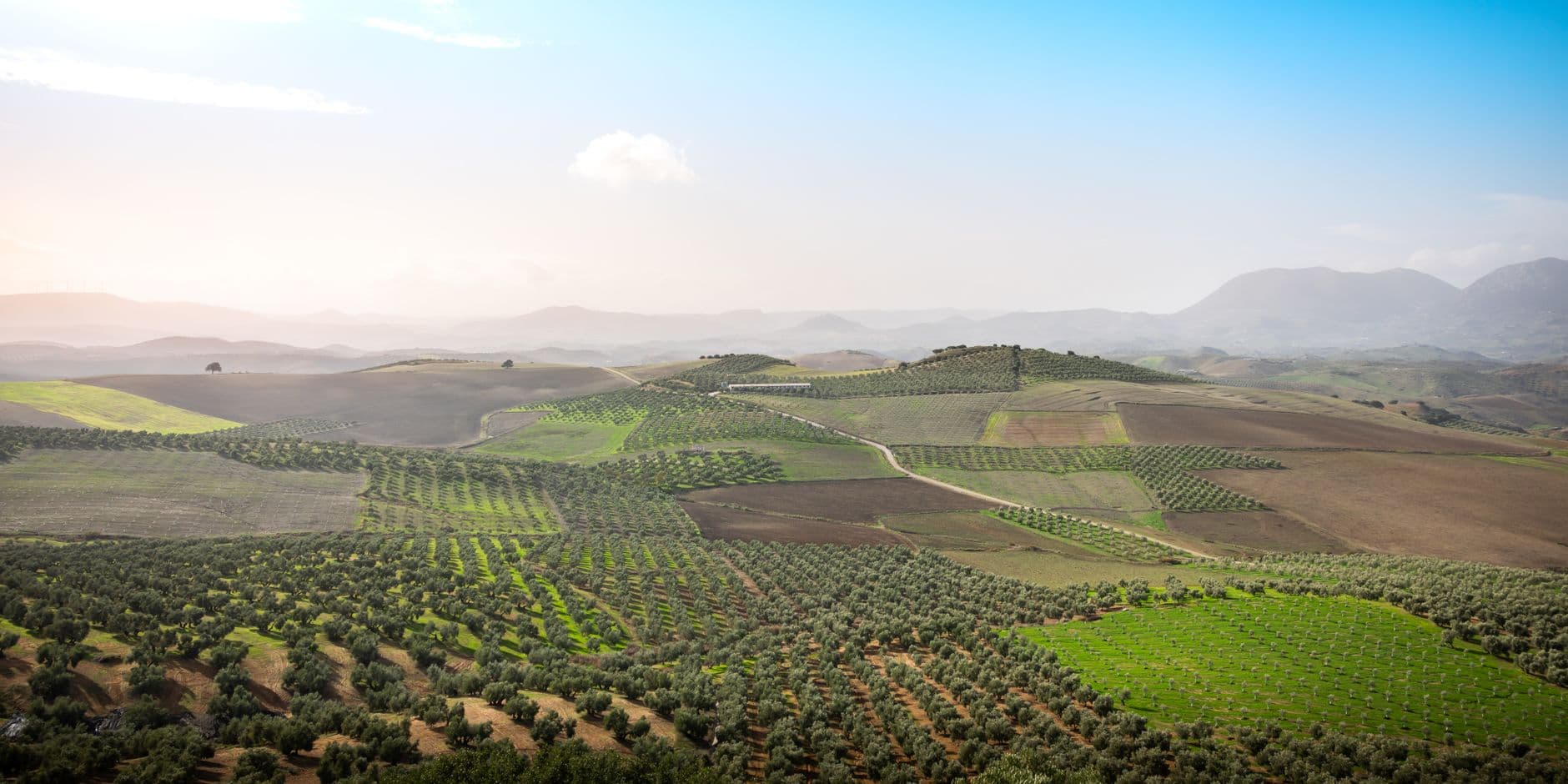 Paysage de la destination