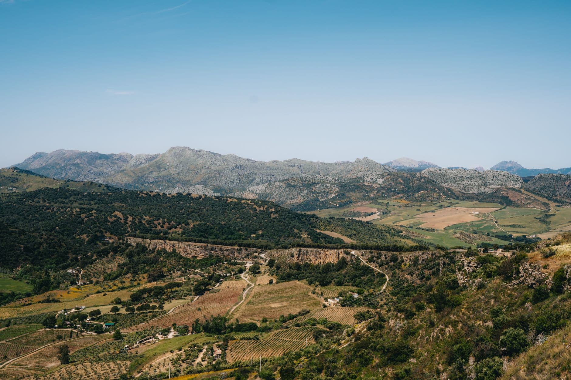 Campagne andalouse vallonnee autour de Ronda