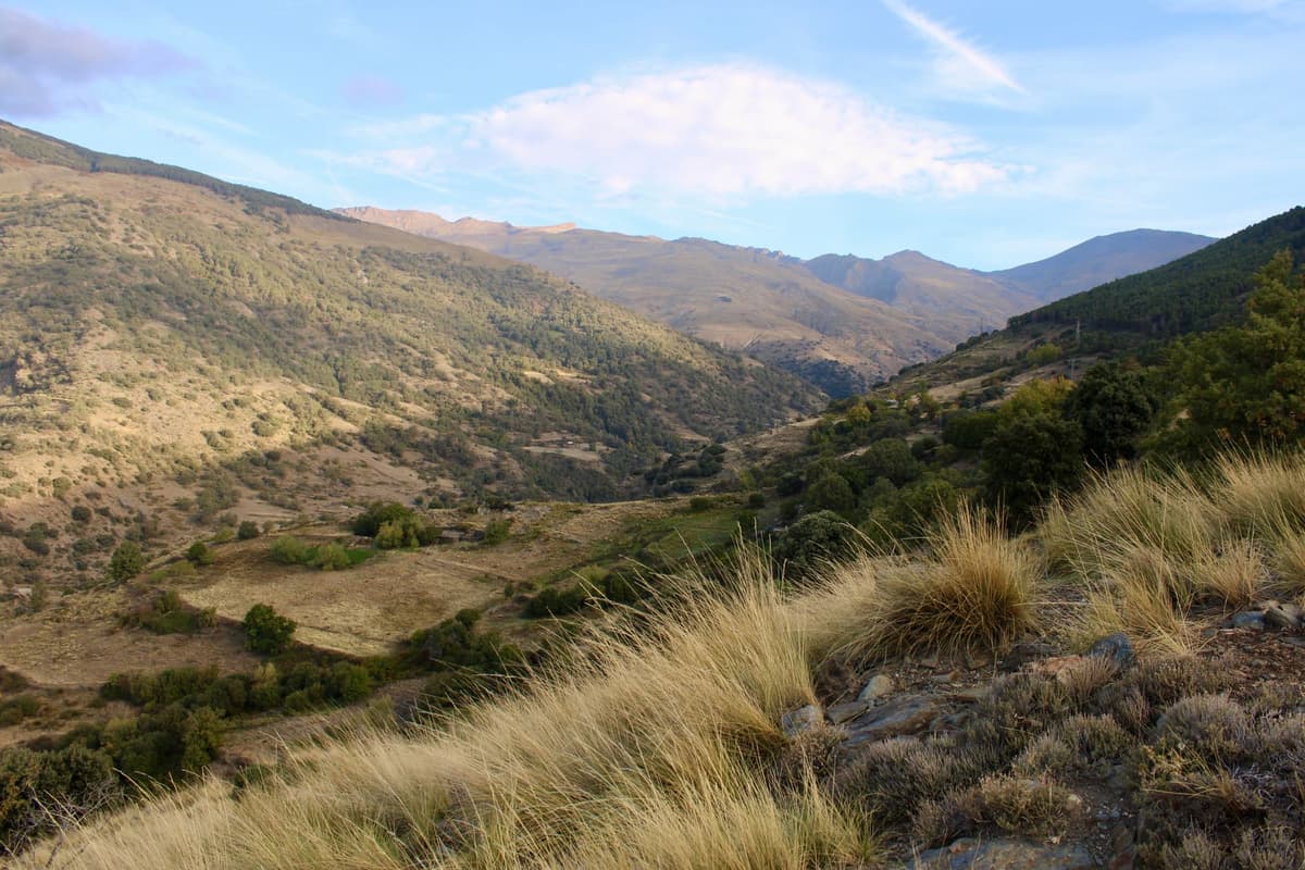 Les sommets enneiges de la Sierra Nevada au-dessus de l Andalousie