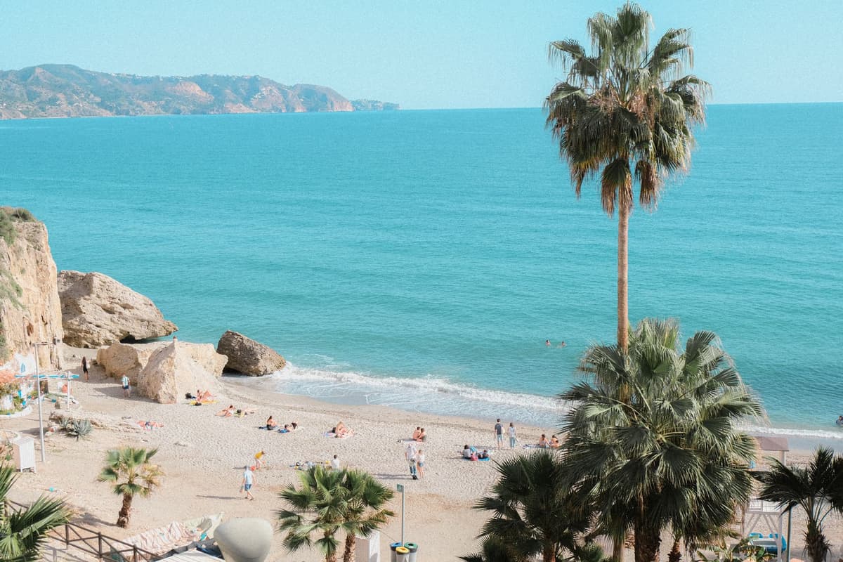 Plage de galets bordée de palmiers sur la Costa Tropical